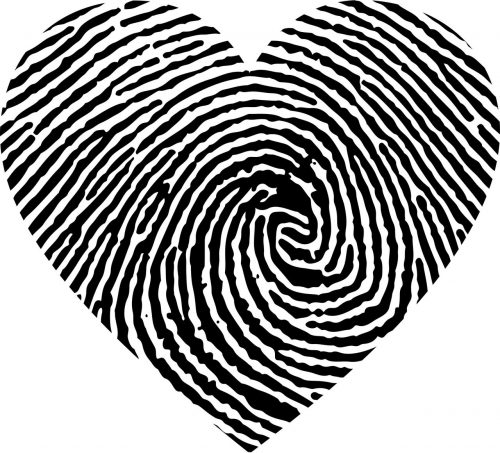 heart-2750394_1280